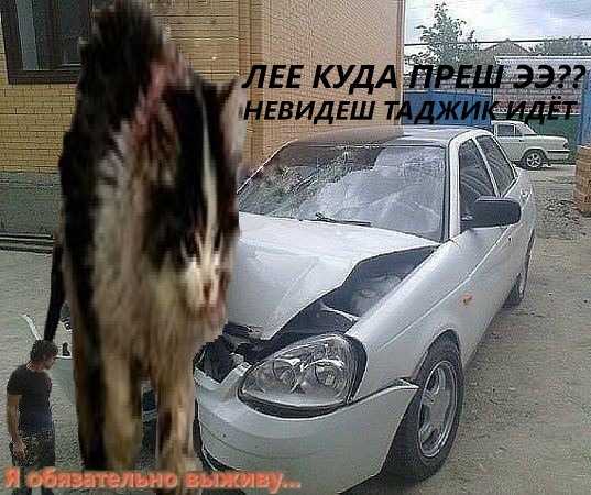 Лее куда прешь ээ