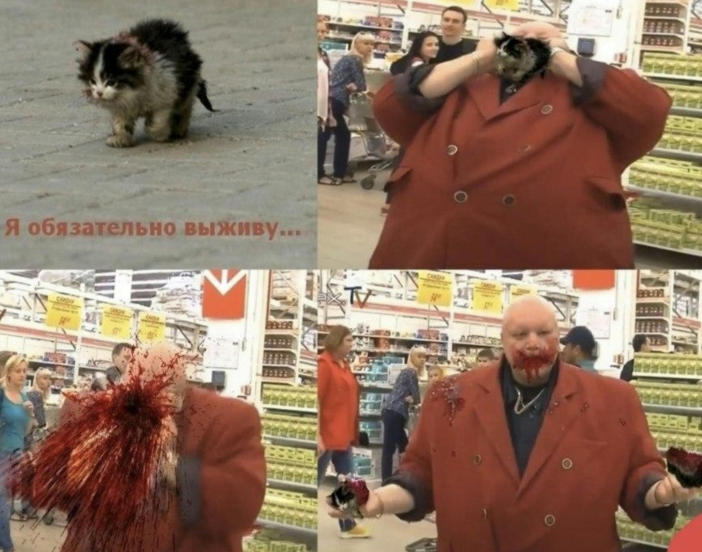 Я обязательно выживу