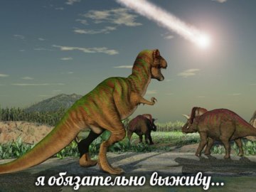 Я обязательно выживу
