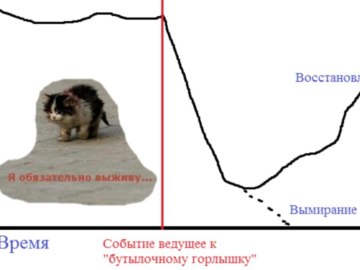 Я обязательно выживу
