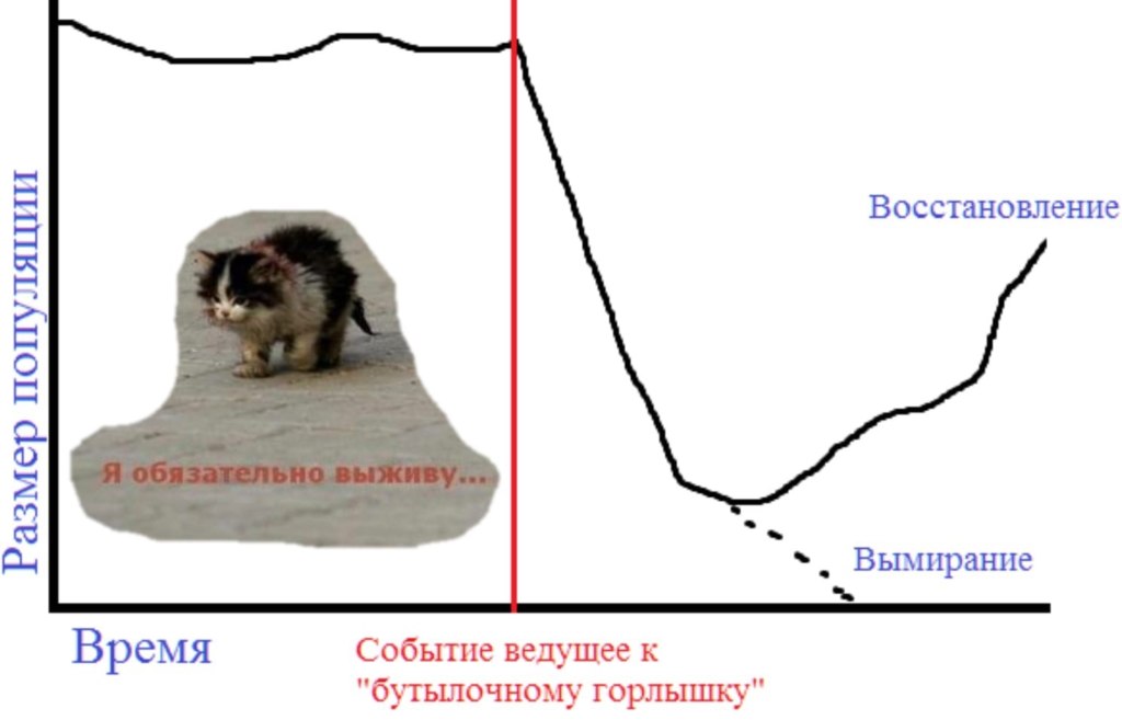 Я обязательно выживу