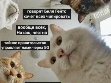 Билл Гейтс проводит чипирование