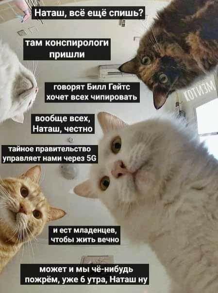 Билл Гейтс проводит чипирование