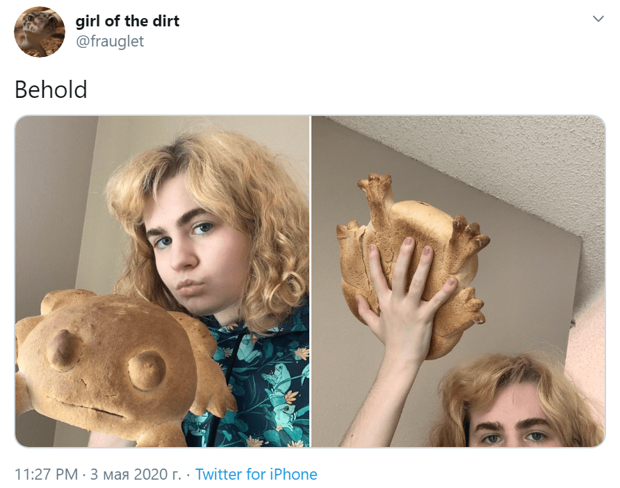 хлебные лягушки хлебные лягушки