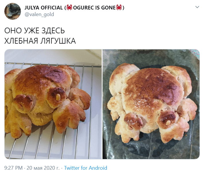 хлебные лягушки хлебные лягушки