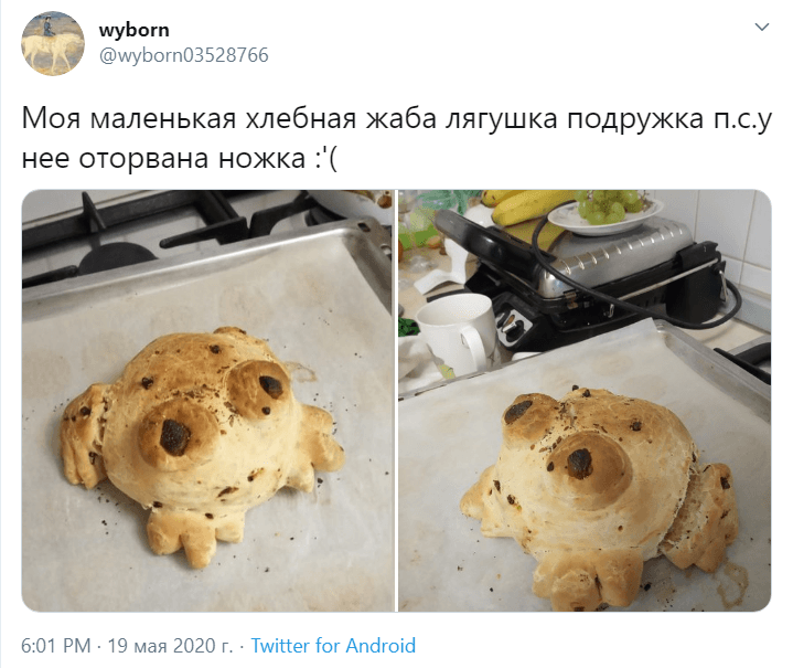 хлебные лягушки хлебные лягушки