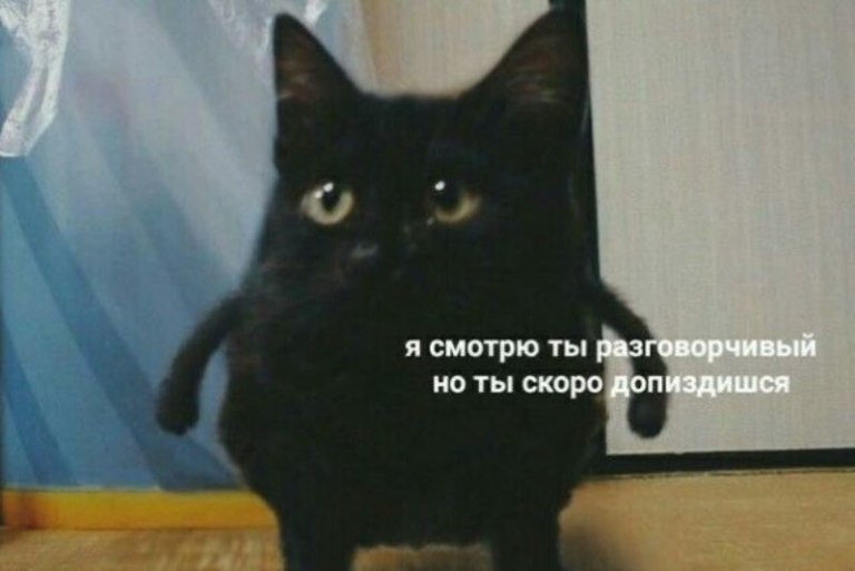 голосовые твиты