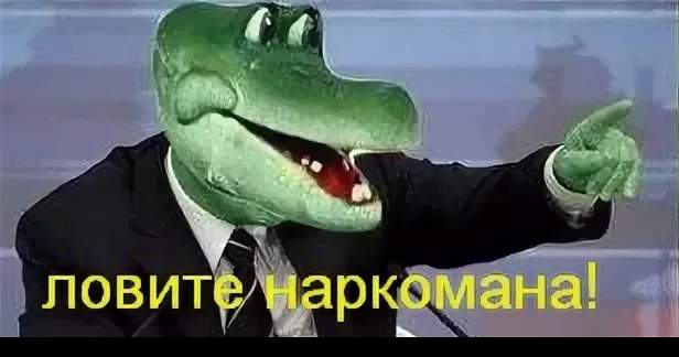 Ловите наркомана Ловите наркомана