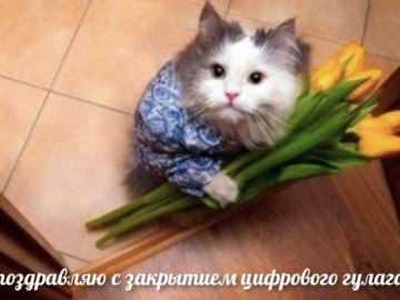 отмена самоизоляции