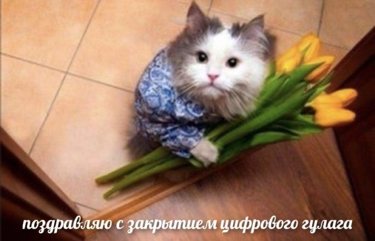 отмена самоизоляции