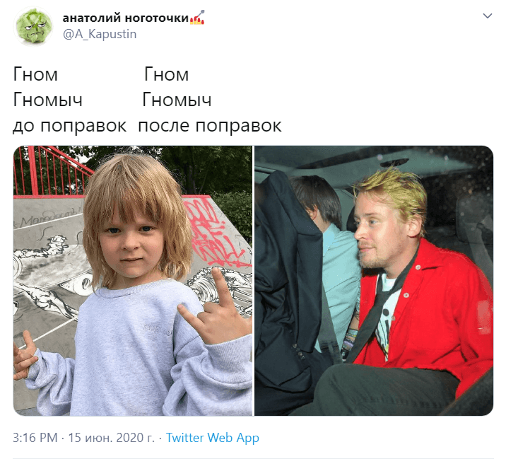 Гном Гномыч прорекламировал поправки в Конституцию