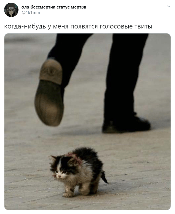 Голосовые твиты Голосовые твиты