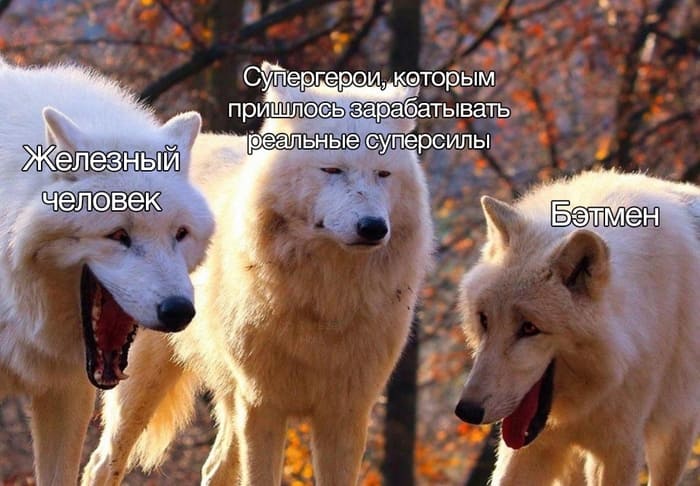 Волки смеются