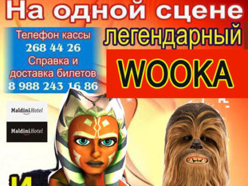 Бока и Жока