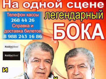 Бока и Жока