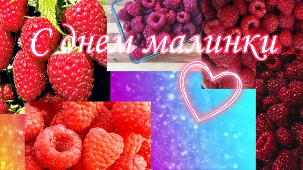 день малины мем