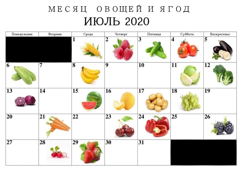 день огурца день помидоров день баклажанов мемы
