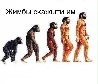 джимбо скажи им