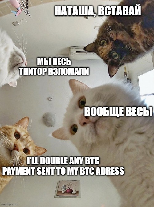 Хакеры взломали твиттер 