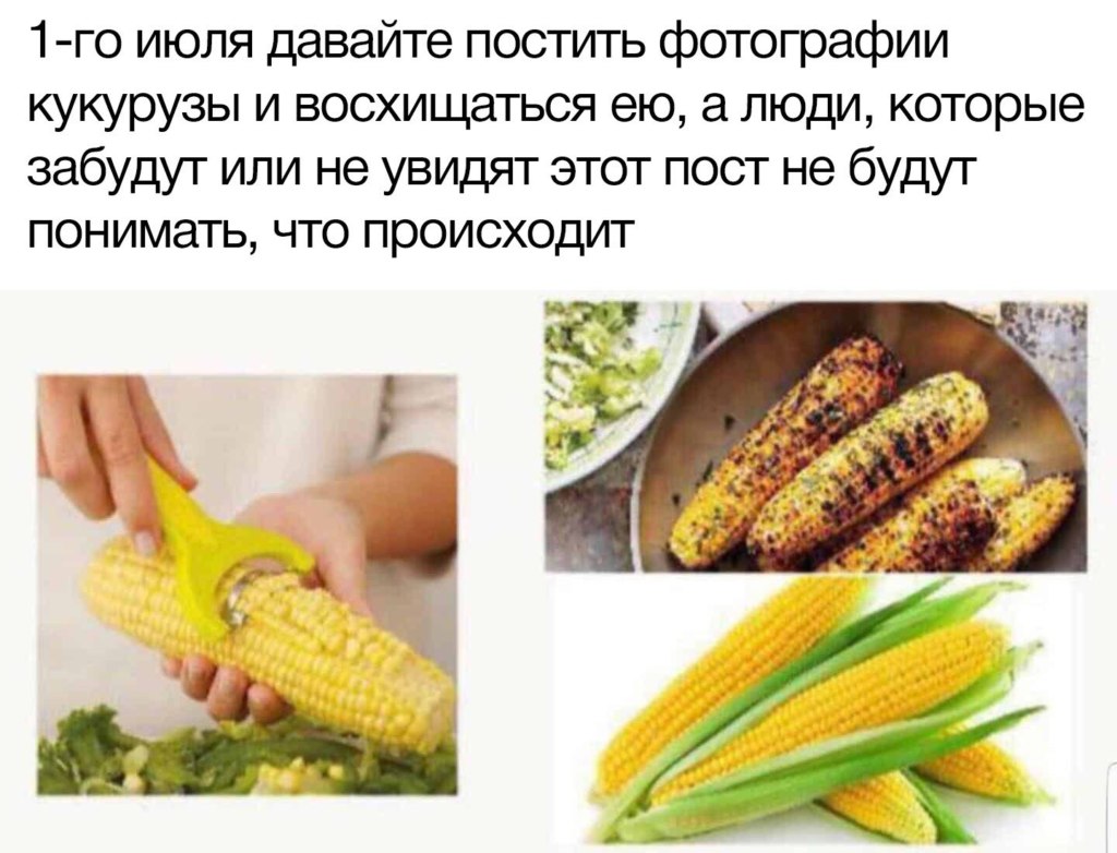 мемы про кукурузу 1 июля мемы про кукурузу 1 июля