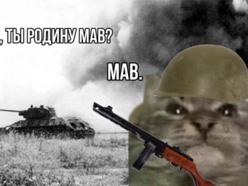 Кіт ти маму мав