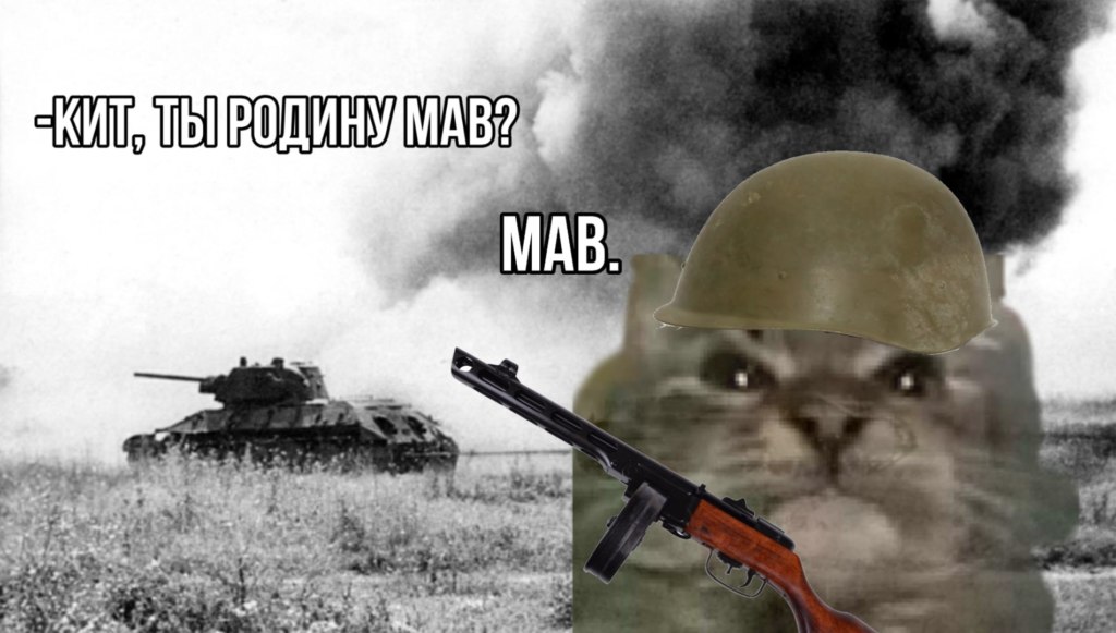 Кіт ти маму мав