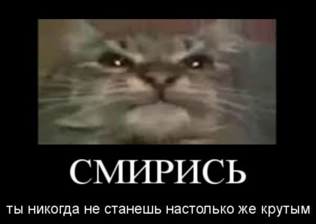 кіт ти маму мав Мемы июля 2020