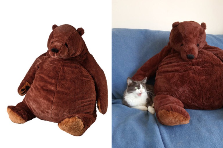 Медведь Дьюнгельског