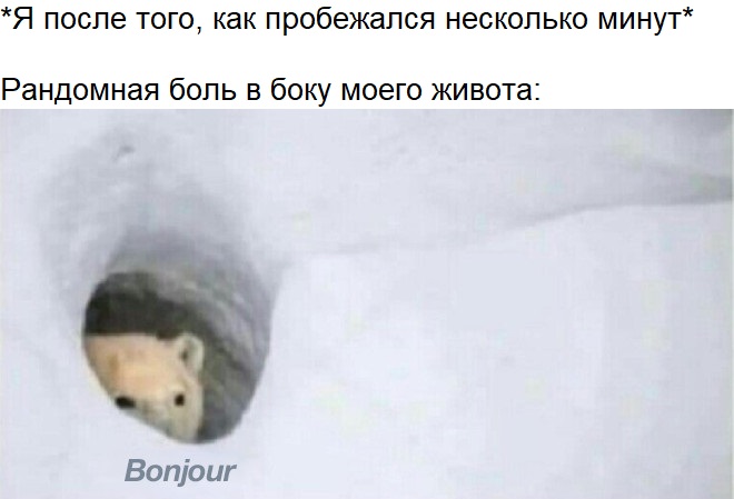 Медведь Бонжур