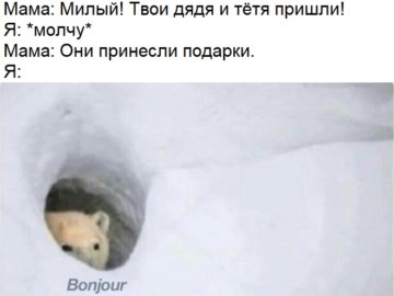 Медведь Бонжур