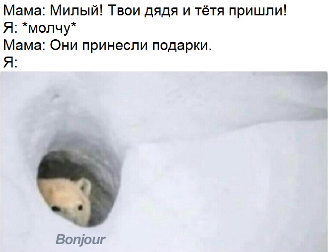 Медведь Бонжур