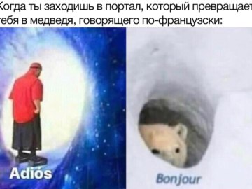 Медведь Бонжур
