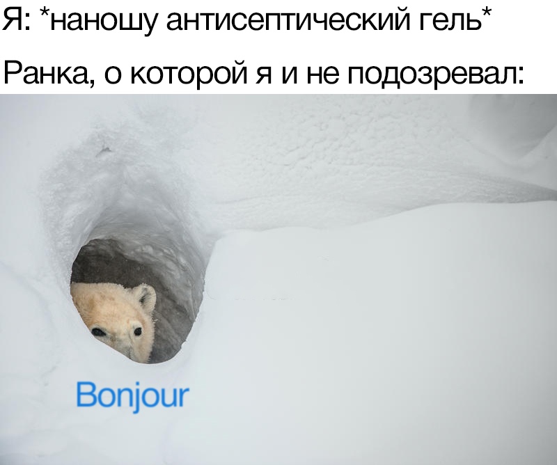 Медведь Бонжур