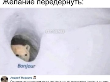 Медведь Бонжур
