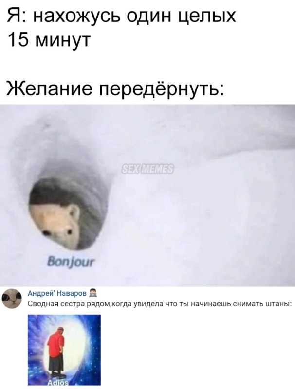 Медведь Бонжур
