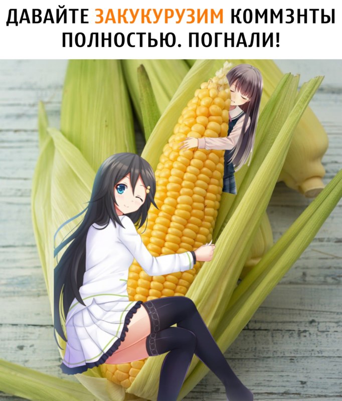мемы про кукурузу 1 июля мемы про кукурузу 1 июля