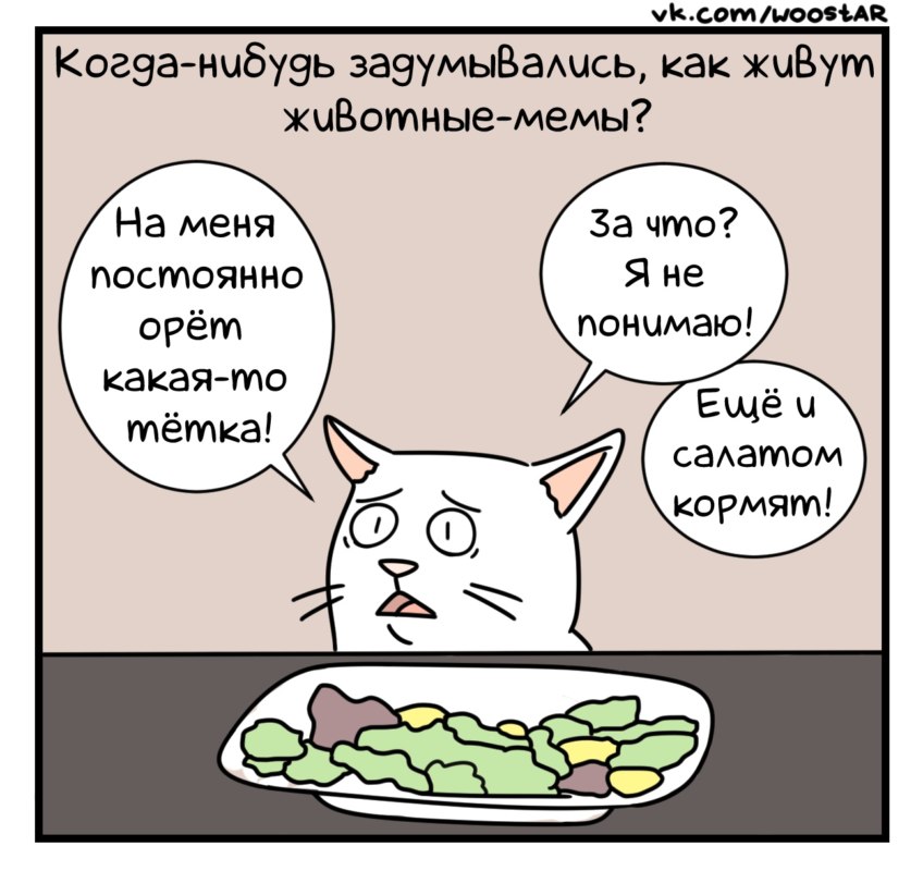 о тяжелой жизни мемных животных о тяжелой жизни мемных животных