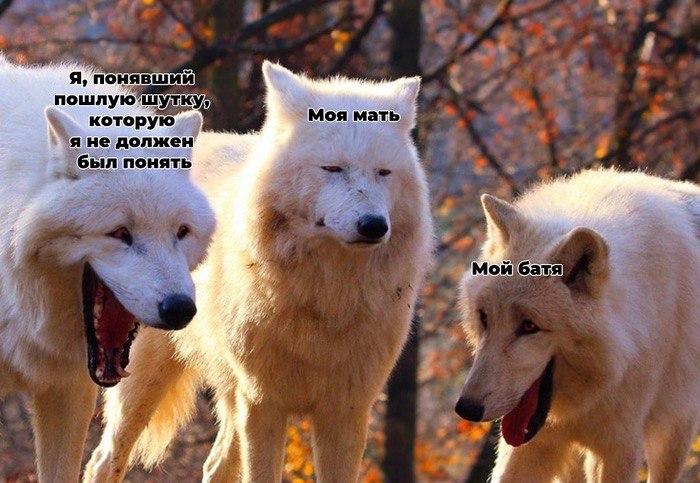Волки смеются