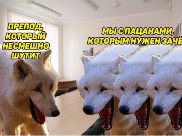 Волки смеются