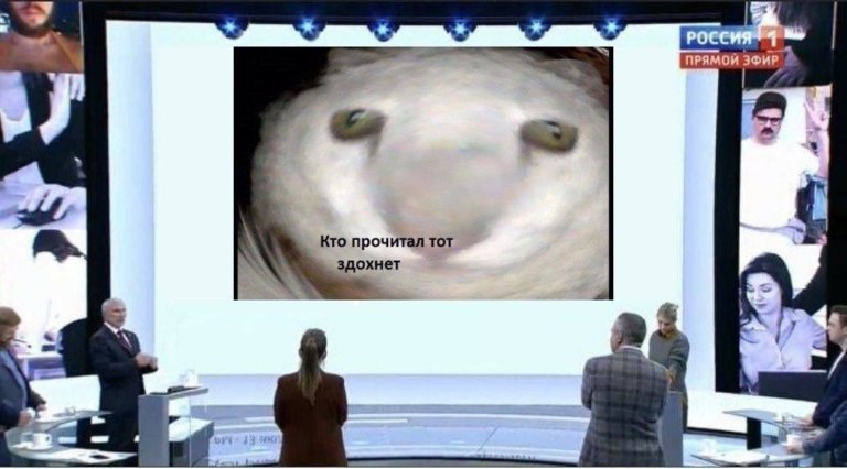 Твиты про абьюз на россии-1