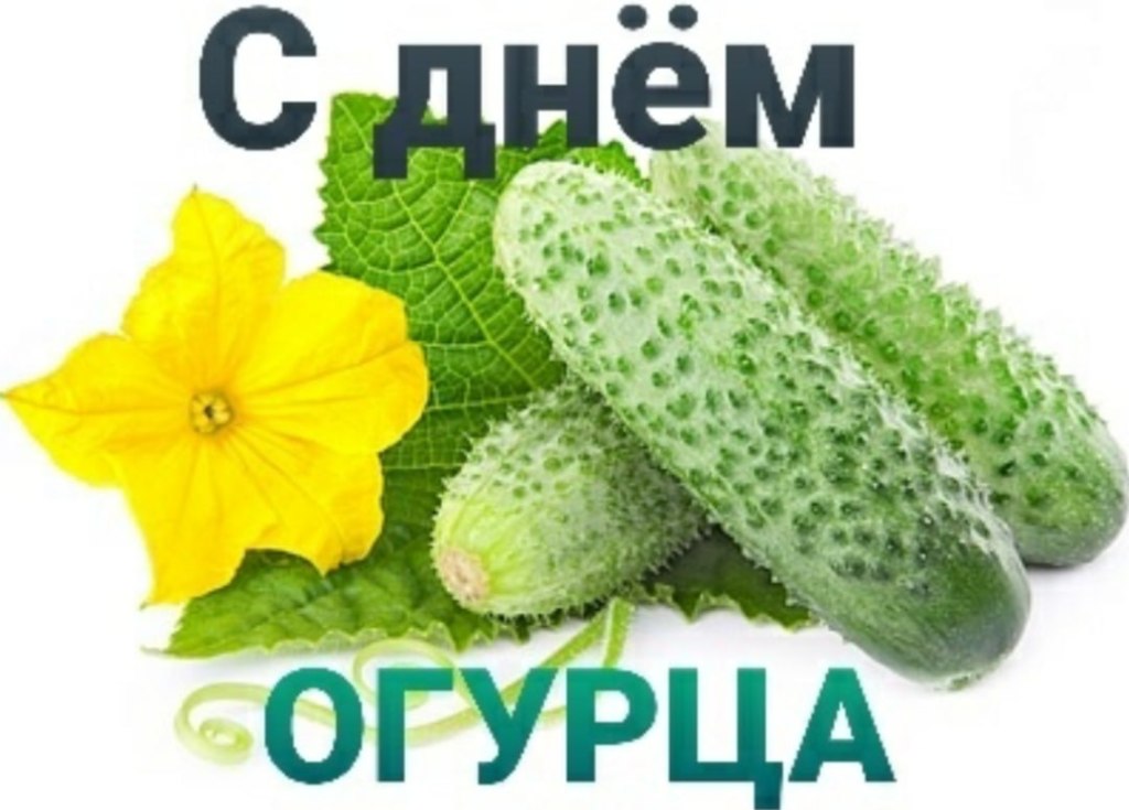 с днем огурца мем