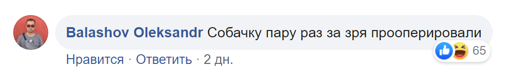 неинтересные пересказы неинтересные пересказы