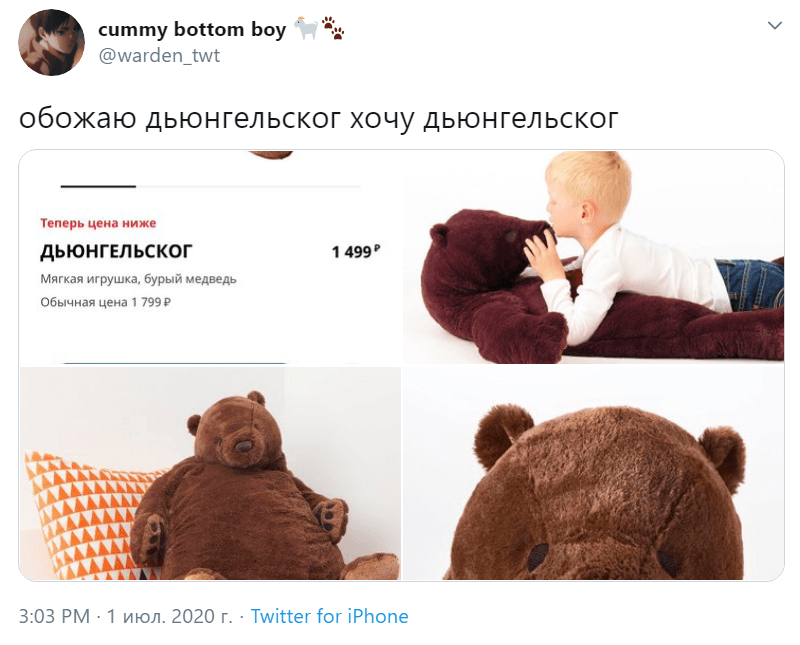 Медведь Дьюнгельског
