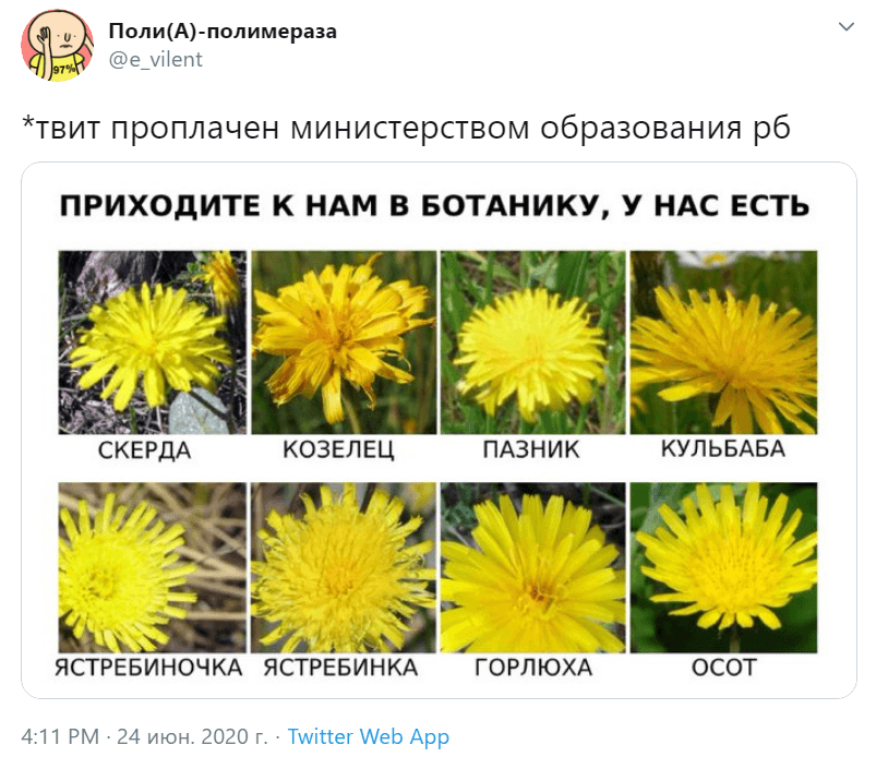 Приходите к нам Приходите к нам