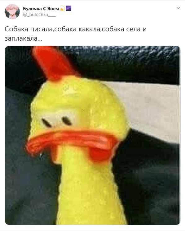 Собака писала, собака какала