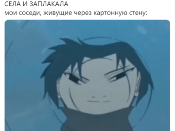 Собака писала, собака какала