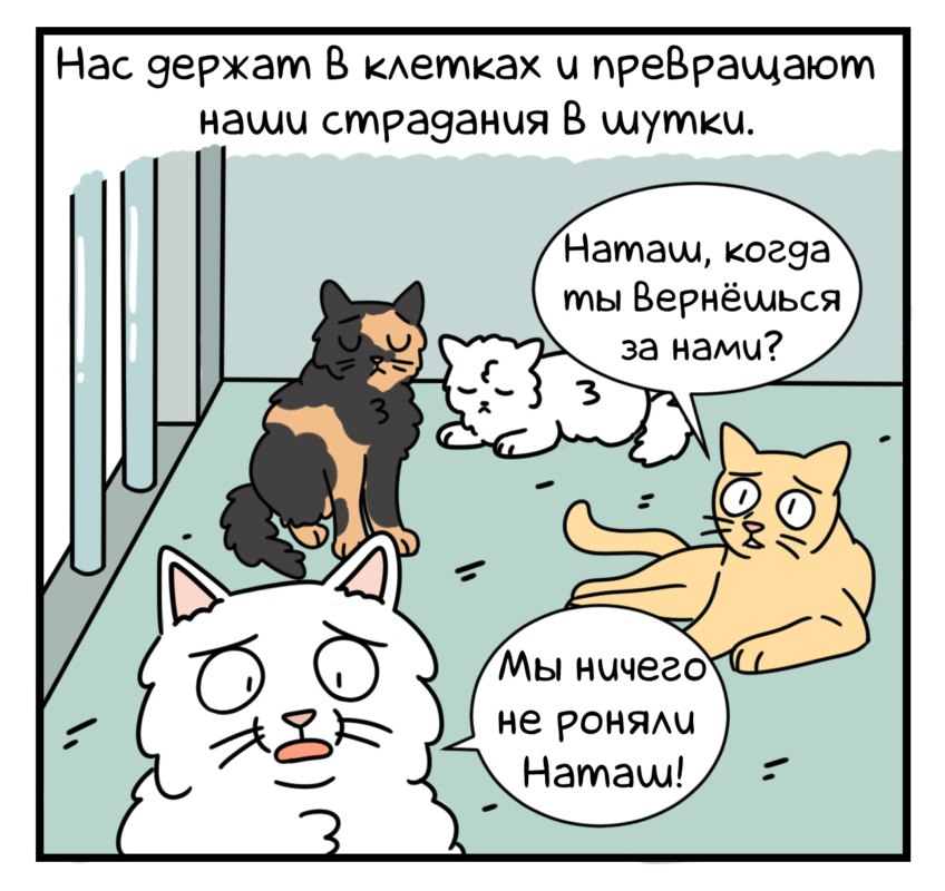 о тяжелой жизни мемных животных о тяжелой жизни мемных животных