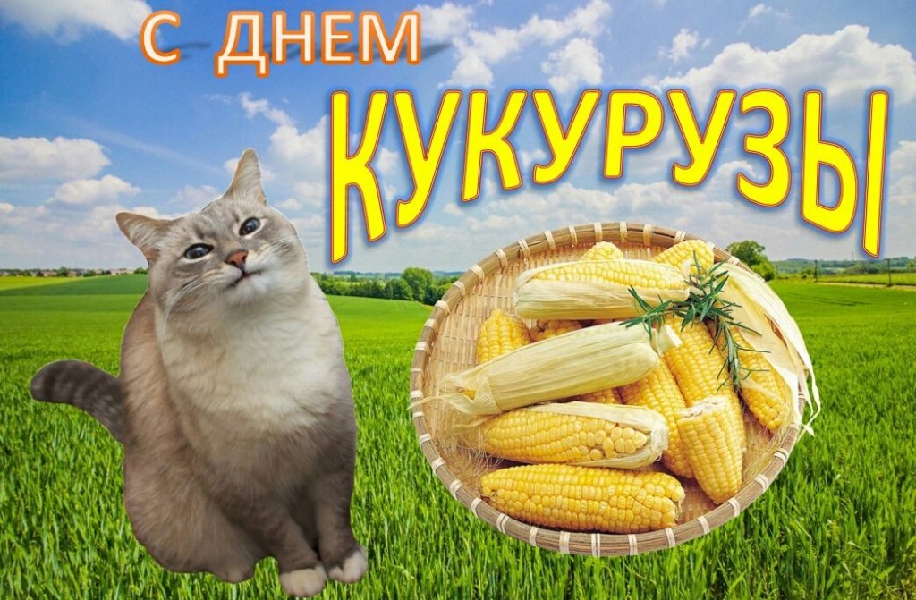 день кукурузы мем день кукурузы мем