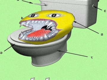 бимбо унитаз