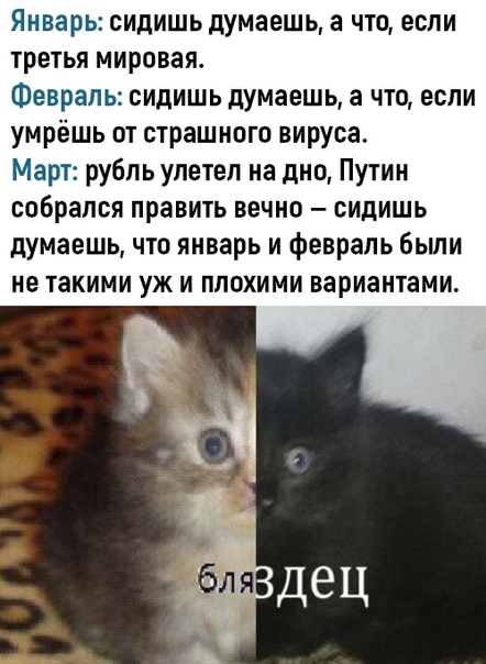 Бляздец